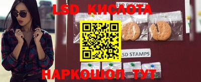 spice Кимры