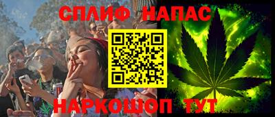 spice Кинель