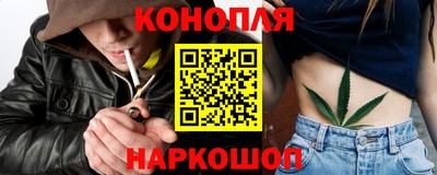 spice Кингисепп