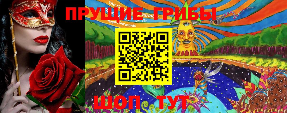 Псилоцибиновые грибы Cubensis Топки