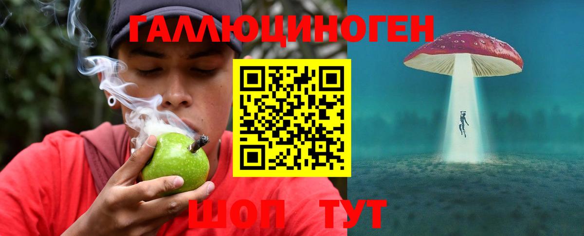Топки  Галлюциногенные грибы Magic Shrooms  Вход с VPN  Галлюциногенные грибы MAGIC MUSHROOMS 